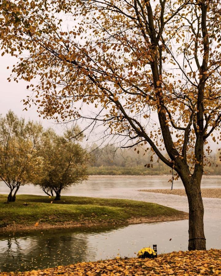 Drinska Laguna Banja Koviljača Εξωτερικό φωτογραφία