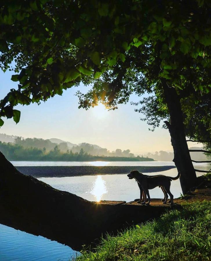 Drinska Laguna Banja Koviljača Εξωτερικό φωτογραφία
